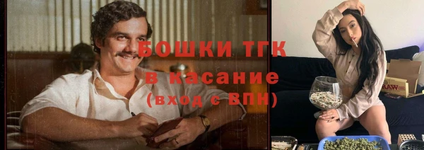 спиды Алексеевка