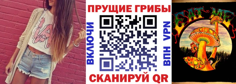 Псилоцибиновые грибы мицелий  Сольцы 